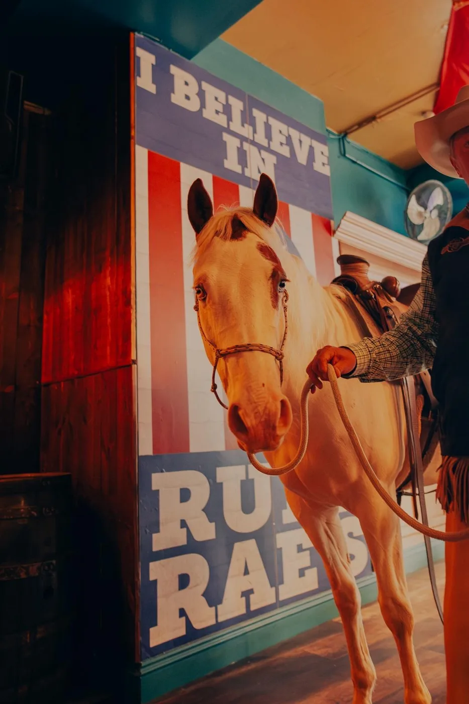 A pale horse standing inside a bar in front of a painted wall reading I Believe In Ruby Rae's