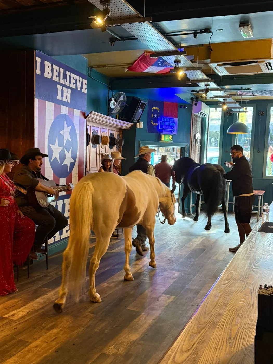 Two horses being led along the wooden floor of a bar decorated with flags, with people in cowboy hats watching